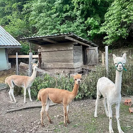 Wooden 3* Kamna Gorica