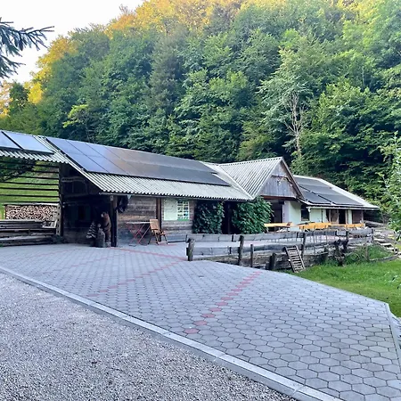 Wooden Guest house