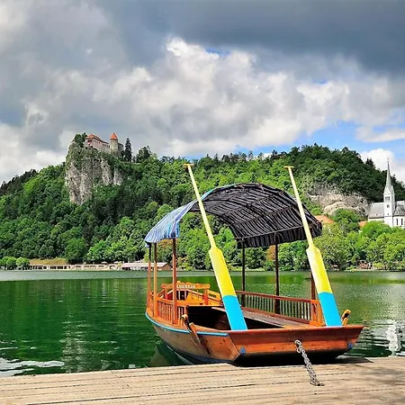 Wooden Guest house
