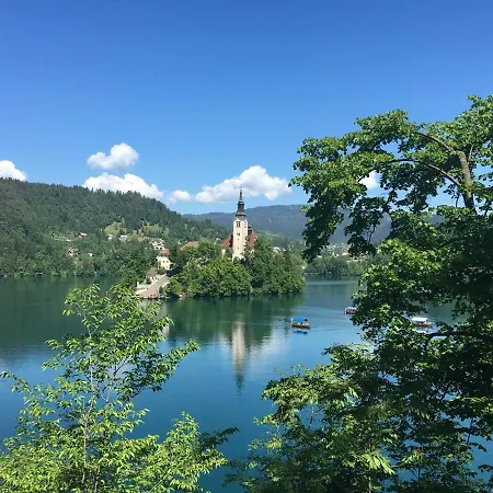 Gostinjska kuća Wooden Kamna Gorica