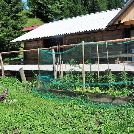 Wooden ゲストハウス