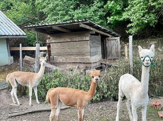 Wooden 3* Kamna Gorica