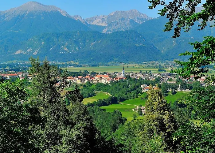 Casa de hóspedes Wooden